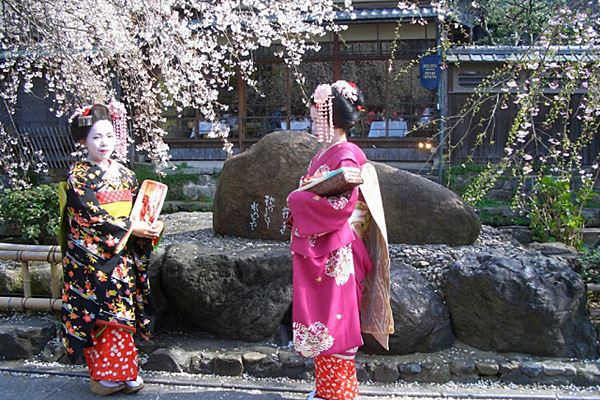 日本 | 關西：精選京都5大經典賞櫻景點