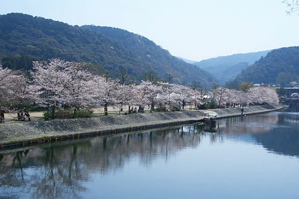 日本 | 關西：精選京都5大經典賞櫻景點