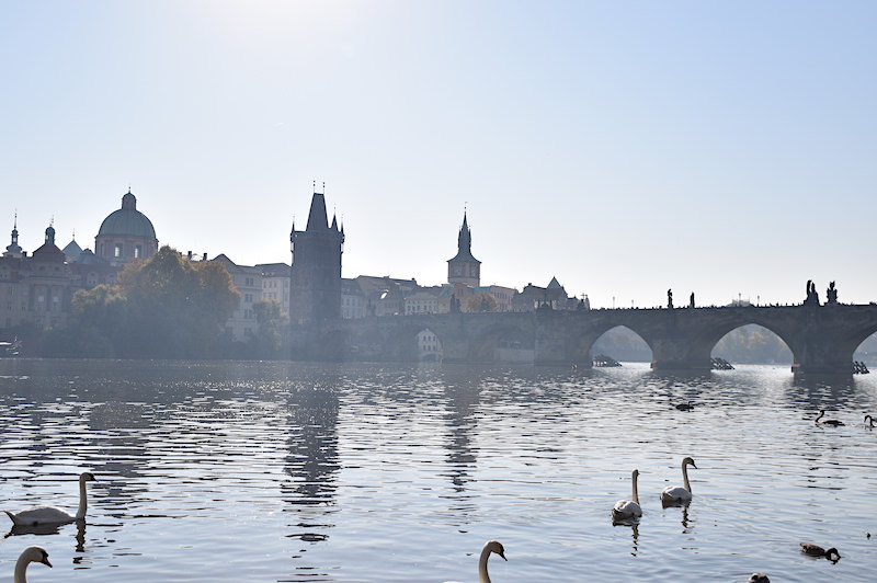 捷克 | 布拉格：賞遊查理大橋全景，伏爾塔瓦河畔2條散步路線