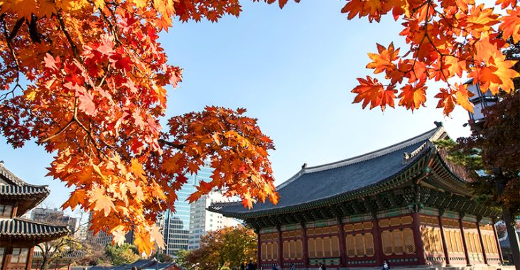 韓國首爾市區秋季7條最佳賞楓路線