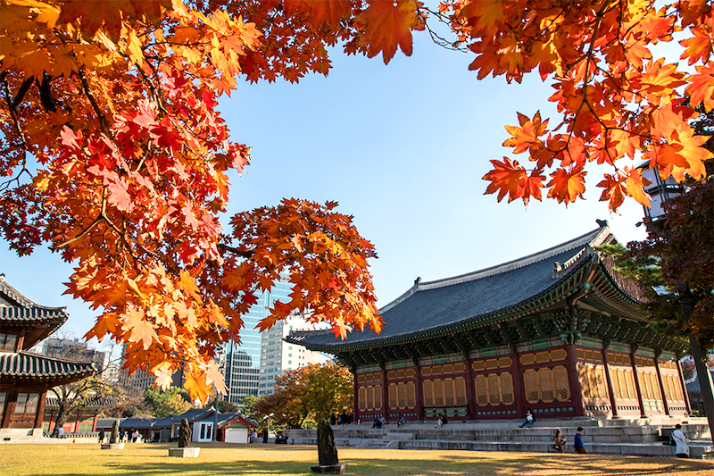 韓國首爾市區秋季7條最佳賞楓路線