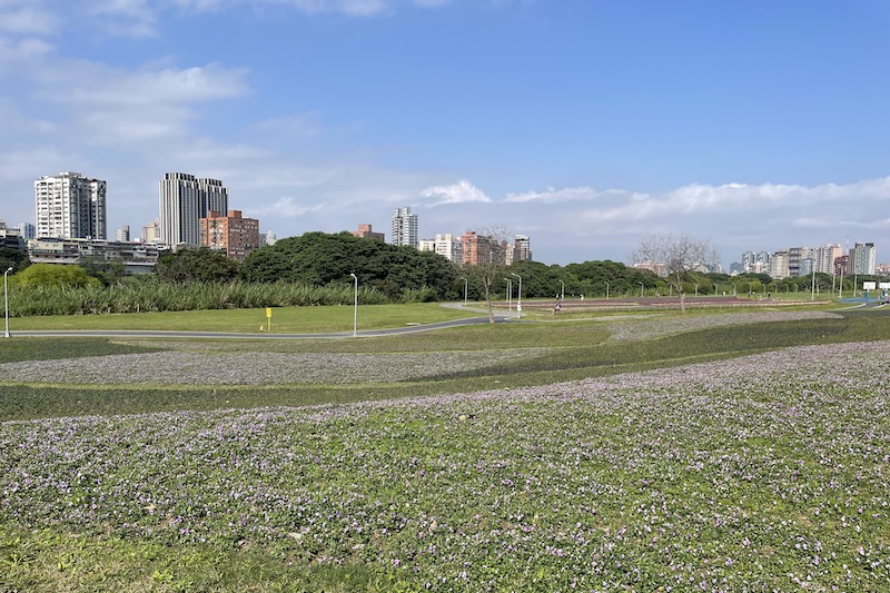 2022春季到台北市7個綺麗花海賞花趣