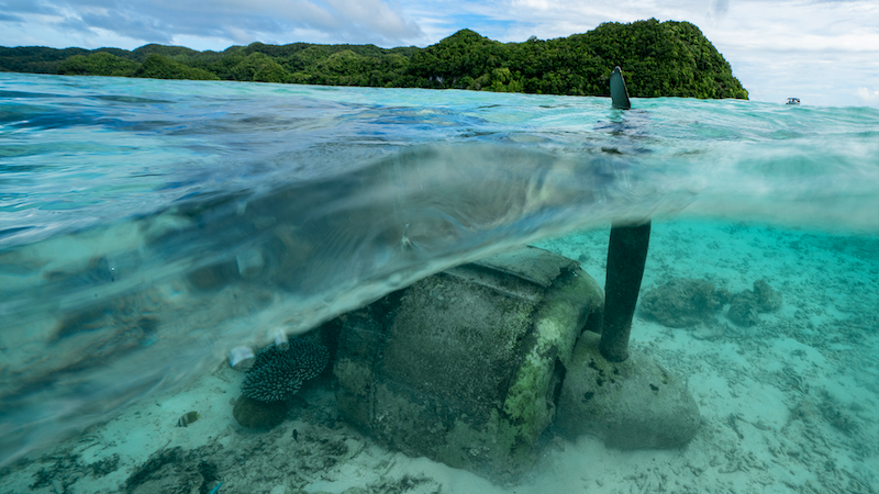 帛琉秘境旅遊，下載Ol’ au Palau APP就可體驗在地遊