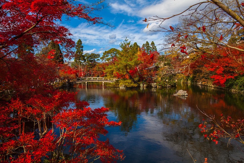 日本京都：全球值得散步體驗城市之(一)